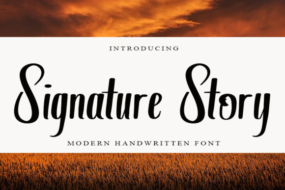 Signature Story Font Review